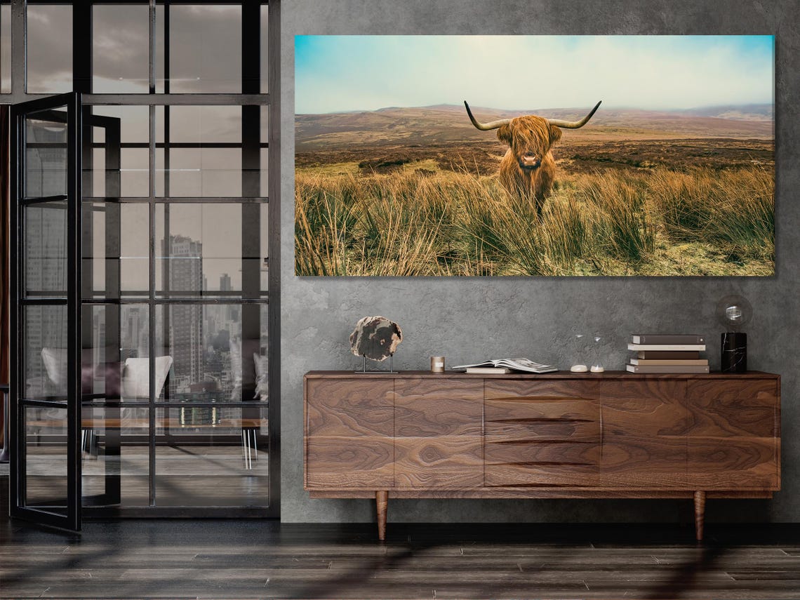 Highland cow with long horns standing in tall grass in a countryside landscape detail view
