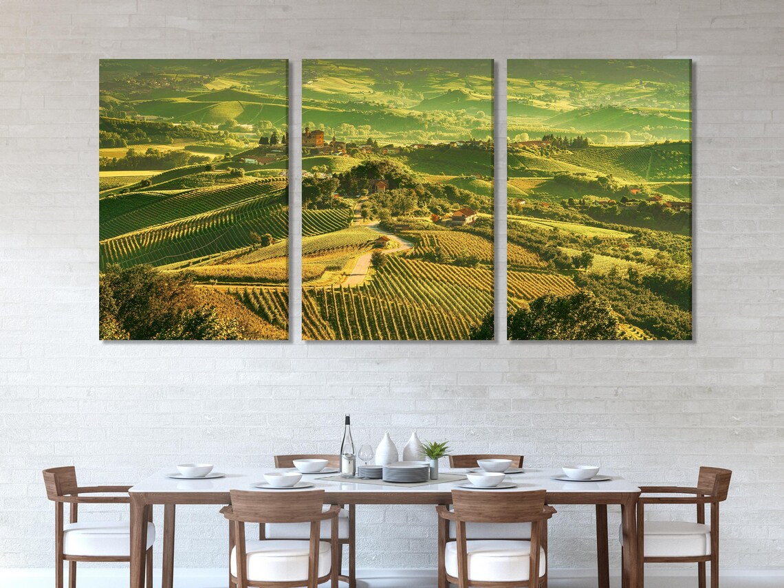 Sunlit countryside vineyard landscape with patterned rows of green hills and warm golden highlights detail view