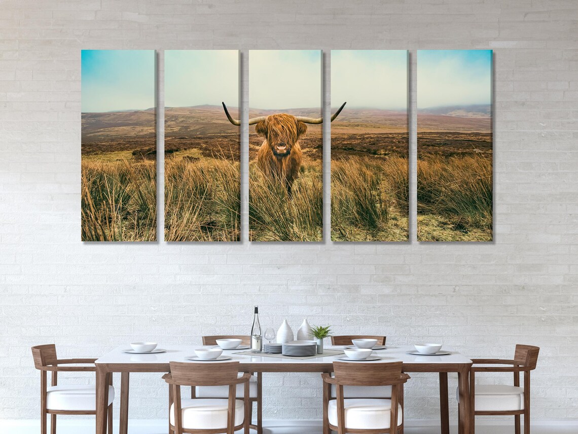 Highland cow with long horns standing in tall grass in a countryside landscape detail view