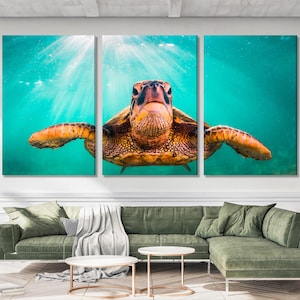 Puede incluir: Un primer plano de una tortuga marina nadando en agua turquesa. La tortuga está mirando a la cámara con su cabeza y aletas visibles. La luz del sol brilla a través del agua, creando un efecto brillante y etéreo.