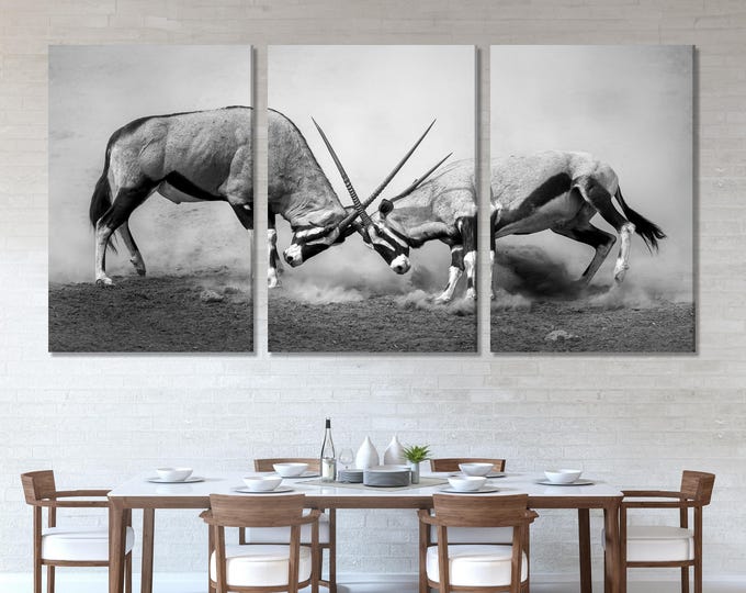 Large Black and White Gemsbok Canvas Print, African Wildlife Wall Art, Fighting Gemsbok Artwork, Oversized Nature Canvas for Modern Decor