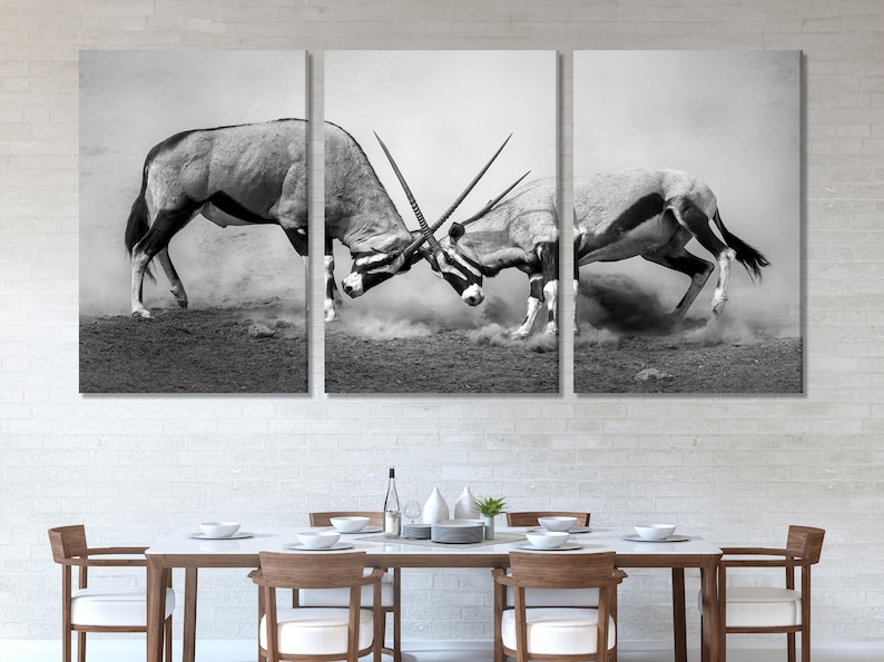Black-and-white wildlife triptych showing two horned animals locked in battle