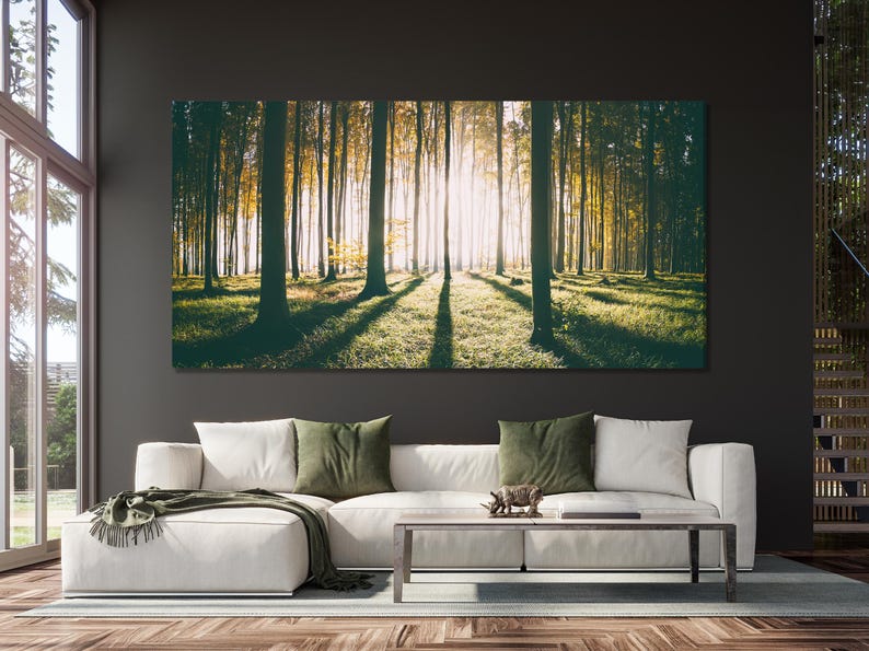 Sunlit forest landscape with tall tree trunks and glowing sunbeams through mist