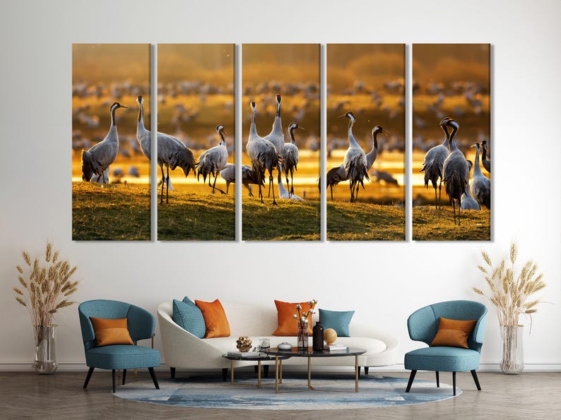 Five-panel wildlife scene showing several grey crane birds standing on grass in warm sunrise light