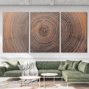 A triptych wall art set featuring a high-resolution close-up of a tree trunk cross-section. The three rectangular panels display concentric dark brown and light tan growth rings, creating a continuous wood grain pattern across the display.