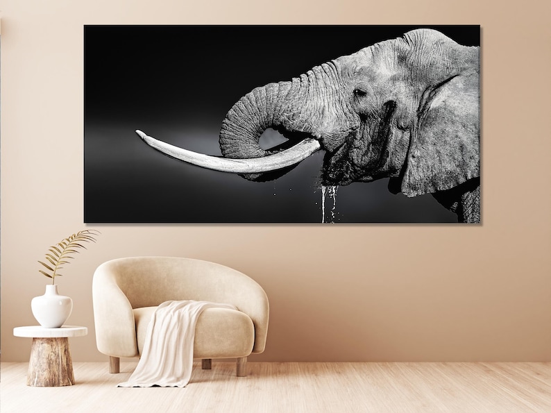 Black-and-white elephant side profile with a curved trunk and splash-like stream on a dark gradient background