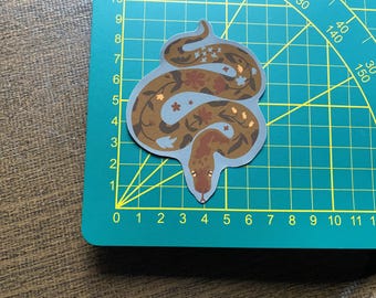 Naklejka z kwitnącym pytonem