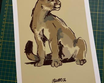 Puma art print - Wildlife illustrations