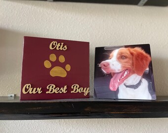 Custom Pet Paw Print Memorial Plaque