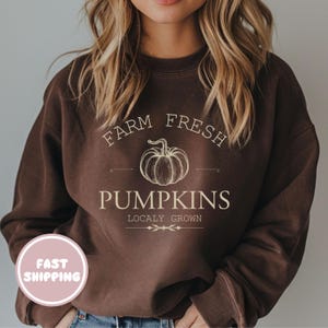 Könnte beinhalten: Ein dunkelbraunes Sweatshirt mit Rundhalsausschnitt und einem cremefarbenen Grafikdruck. Das Design zeigt den Text FARM FRESH PUMPKINS LOCALY GROWN mit einer zentralen Strichzeichnung eines Kürbisses und dekorativen Verzierungen auf der Brust.