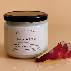 Apple Harvest Scent Candle, Fruit Scent Candle from Soy Wax, 10oz Natural Soy Candle.