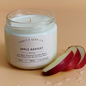 Apple Harvest Scented Candle, Soy Blend Candle, Homemade Candle, Gift Wrap Scented Candle.