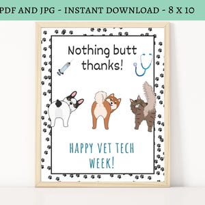 May include: A framed print with the text "Nothing butt thanks!" and "Happy Vet Tech Week!" features cartoon illustrations of a syringe, stethoscope, and three animals: a dog, a Shiba Inu, and a cat. The frame is light brown.