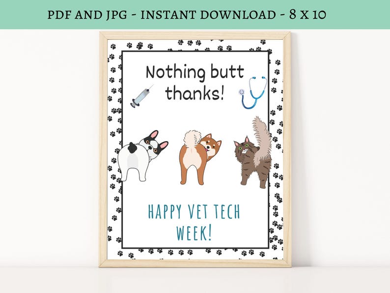 May include: A framed print with the text "Nothing butt thanks!" and "Happy Vet Tech Week!" features cartoon illustrations of a syringe, stethoscope, and three animals: a dog, a Shiba Inu, and a cat. The frame is light brown.