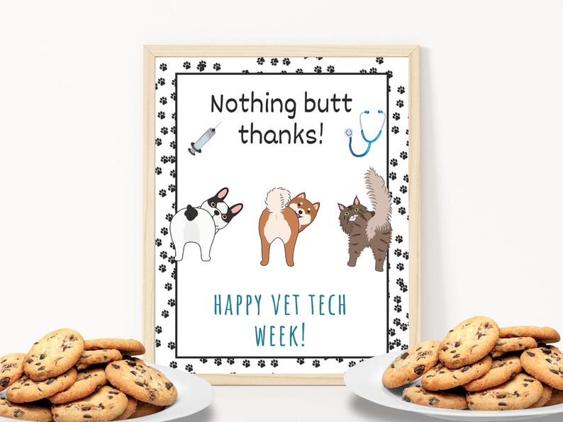 May include: A framed print with the text "Nothing butt thanks!" and "Happy Vet Tech Week!" features cartoon images of a dog, a cat, a syringe, and a stethoscope. The print is surrounded by a border of paw prints.