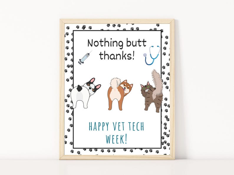 May include: A framed print with a light wood frame. The print features cartoon images of a dog, a cat, and a dog's rear end. The text reads "Nothing butt thanks!" and "Happy Vet Tech Week!" with a syringe and stethoscope.