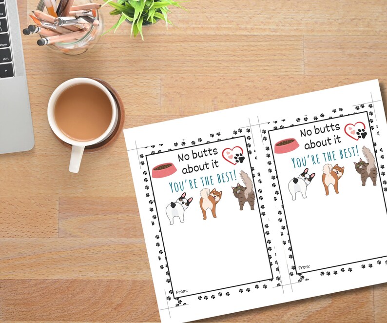 Animal Shelter Appreciation Week Gift, Animal Shelter Volunteer, Gift For Rescue Worker, Animal Control Officer Gift, Volunteer Thank You image 7