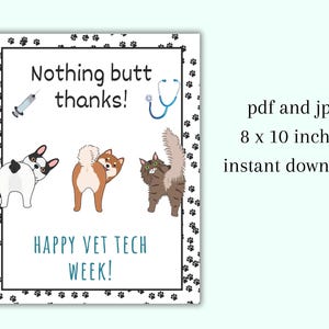 May include: A printable poster with the text "Nothing butt thanks!" and "Happy Vet Tech Week!" featuring cartoon images of a syringe, stethoscope, and three pets. The poster is 8 x 10 inches.