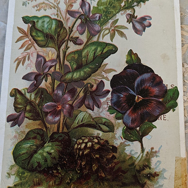 4 Antique Paper Items...Florals and Valentine