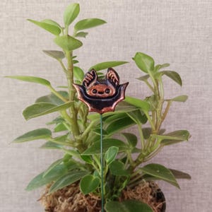 May include: A small potted plant with green leaves and a decorative bat-shaped garden stake. The bat is dark brown with copper-colored accents and is attached to a thin green wire. The plant pot is dark green.
