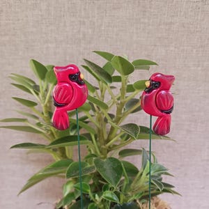 May include: Two red cardinal plant stakes with black accents are placed in a potted plant with green leaves. The cardinals are perched on green wire stakes, adding a decorative touch to the houseplant.