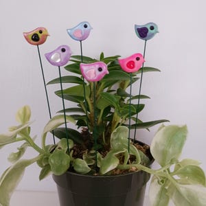May include: A potted plant with six colorful bird figurines on wire stems. The birds are pink, blue, purple, and yellow. The plant is in a black pot.