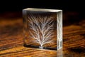2"x2" x 0.75" Lichtenberg Figure/Lightning in Acrylic Physics Sculpture
