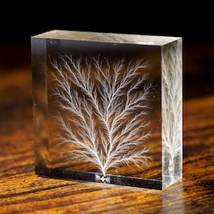 May include: A clear, rectangular block with a white, branching pattern resembling a tree. The artwork is encased in a transparent material, showcasing the intricate design. The block is displayed on a wooden surface.