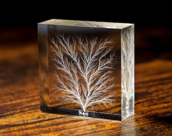 2"x2" x 0.75" Lichtenberg Figure/Lightning in Acrylic Physics Sculpture