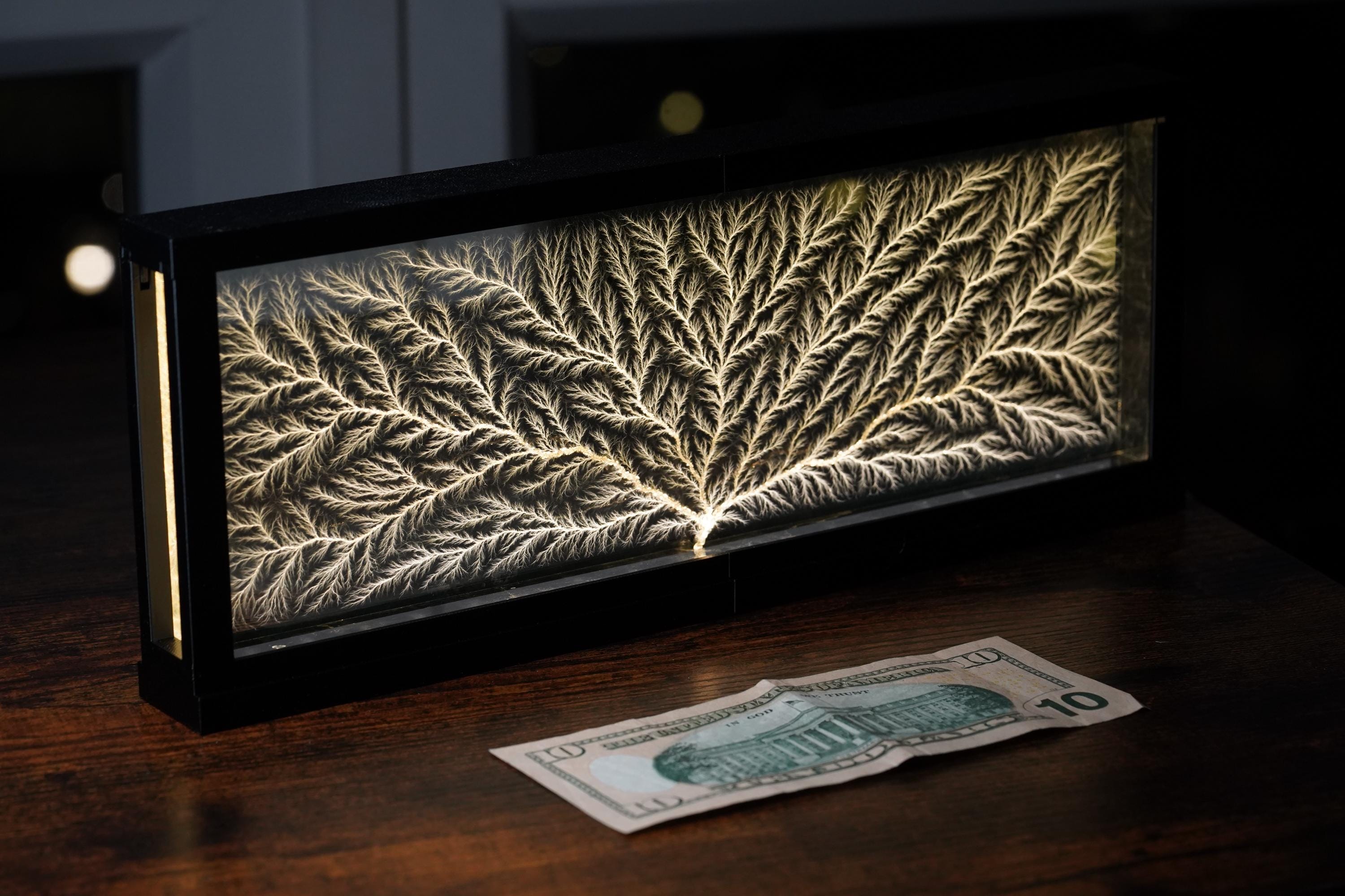 Captured Lightning Edge - Lichtenberg Figure Wood Art (4" X 6" X 1/2") With Matching Light Base