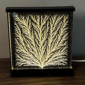 4"x4" x 0.75" BACKLIT Lichtenberg Figure/Lightning in Acrylic Physics Sculpture
