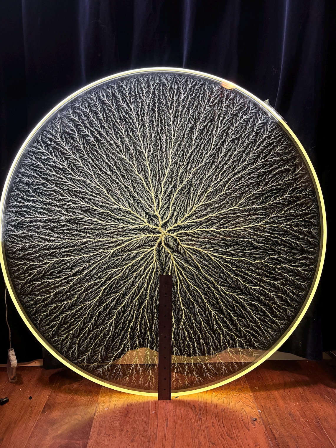 32” X 1" Disk Lichtenberg Figure/lightning in Acrylic Physics Sculpture ...