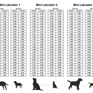Pode incluir: Um gr&aacute;fico que mostra as medidas de largura e altura em polegadas para tr&ecirc;s tamanhos de silhuetas de c&atilde;es Labrador miniatura. O gr&aacute;fico &eacute; rotulado como "Mini Labrador 1", "Mini Labrador 2" e "Mini Labrador 3".