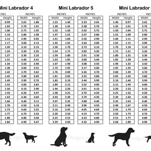 Pode incluir: Um gr&aacute;fico que mostra as medidas de largura e altura em polegadas para tr&ecirc;s tamanhos de silhuetas de c&atilde;es Labrador mini. O gr&aacute;fico &eacute; rotulado como "Mini Labrador 4", "Mini Labrador 5" e "Mini Labrador 6".