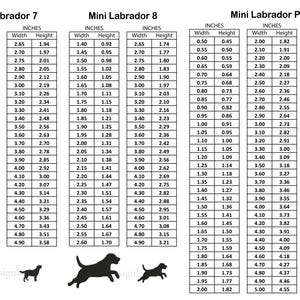 Pode incluir: Um gr&aacute;fico com medidas em polegadas para diferentes tamanhos de silhueta de c&atilde;o Labrador miniatura. O gr&aacute;fico inclui medidas de largura e altura para os tamanhos 7 e 8. Um gr&aacute;fico separado mostra as medidas para uma pata de Labrador miniatura.