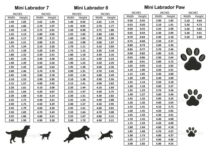 Pode incluir: Um gr&aacute;fico com medidas em polegadas para diferentes tamanhos de silhueta de c&atilde;o Labrador miniatura. O gr&aacute;fico inclui medidas de largura e altura para os tamanhos 7 e 8. Um gr&aacute;fico separado mostra as medidas para uma pata de Labrador miniatura.