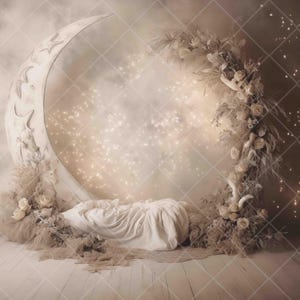 Dreamy Moon Newborn Digital Backdrop