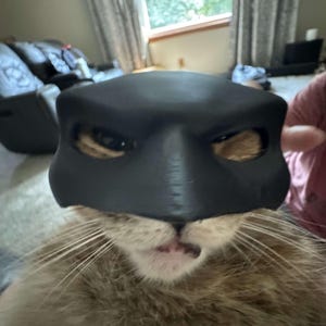Cat Bat Mask