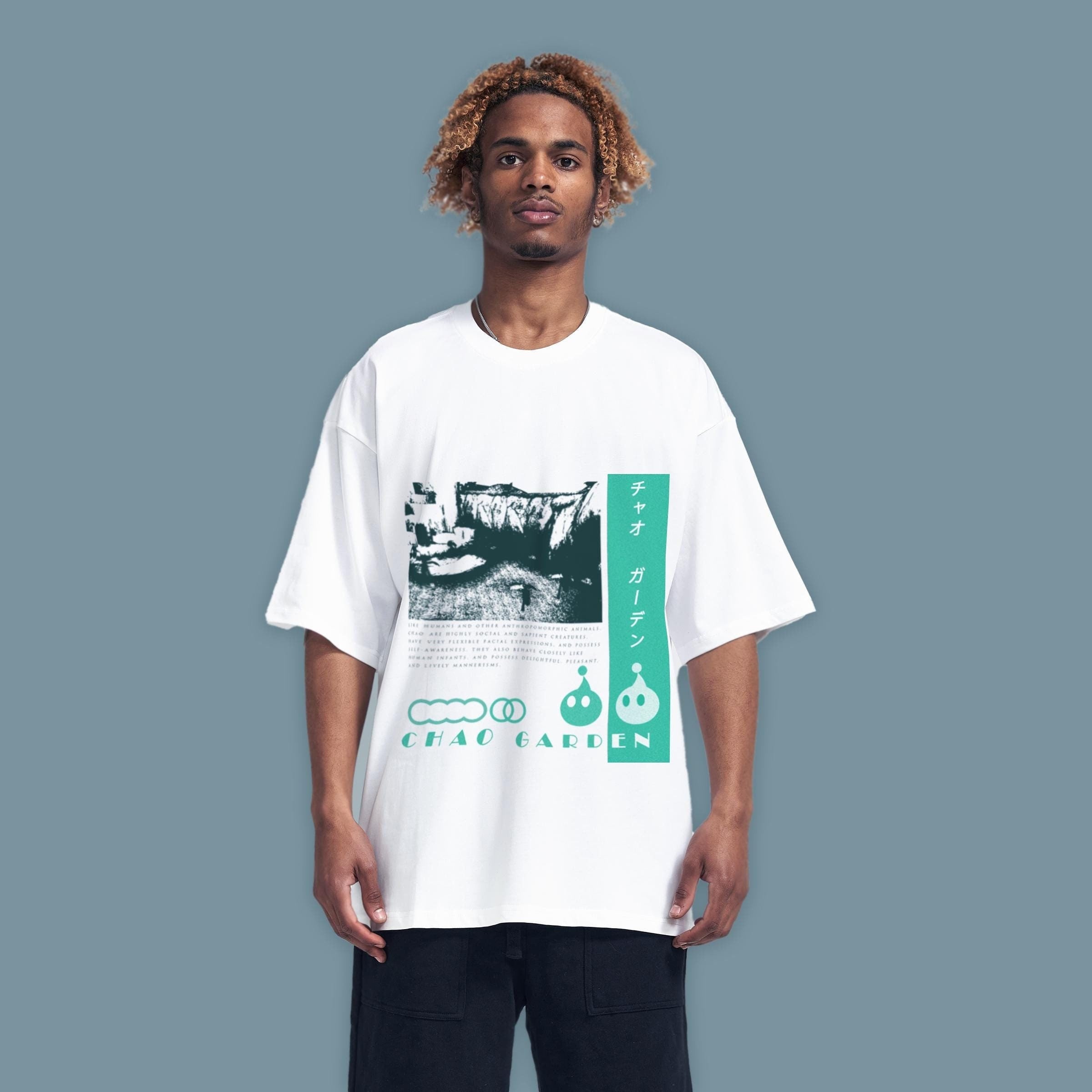 Chao Garden Shirt: Sonic Adventure Dreamcast Tee - Vaporwave Sega