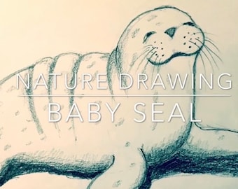 Pencil Drawing of Baby Seal Video | Art Lesson 2 of 5 | Rick Tan