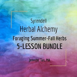 Foraging Summer/Fall Herbs Videos |  5-Lesson Bundle | Jennifer Tan