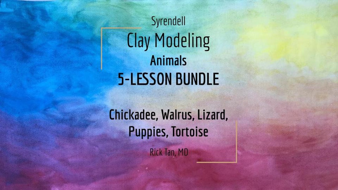 Clay Modeling Bundle 5 Videos | Art Lesson 1-5 | Rick Tan - Etsy
