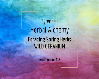 Foraging Spring Herbs Wild Geranium Video | Herbal Lesson 5 of 5 | Jennifer Tan