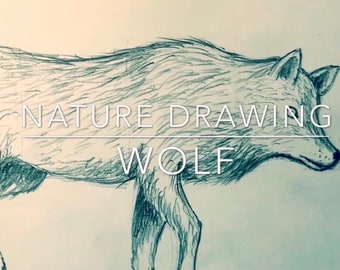 Pencil Drawing of Wolf Video | Art Lesson 4 of 5 | Rick Tan