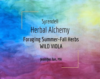 Foraging Summer/Fall Herbs Wild Viola Video | Herbal Lesson 2 of 5 | Jennifer Tan