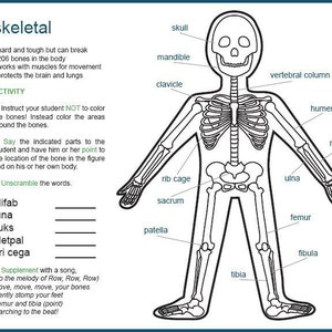 Anatomy for Kids eBook image 4