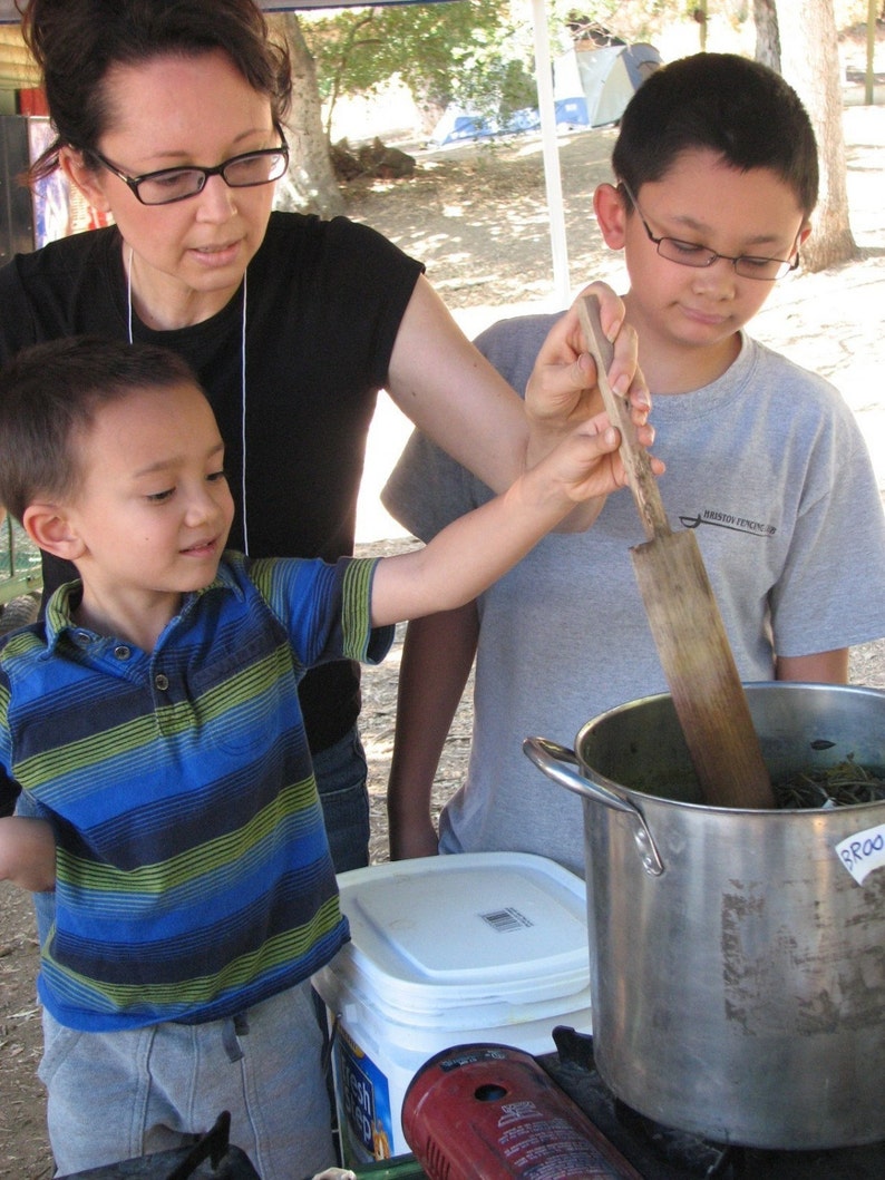 Dyeing Fun with Children eBook image 3