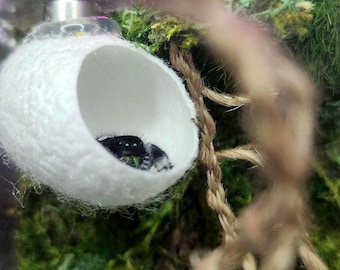 Jumping Spider Silk Hide, Enclosure Accessories