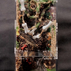 Spooky Sling Enclosure- Jumping Spider Cage for Slings Bottom Opening