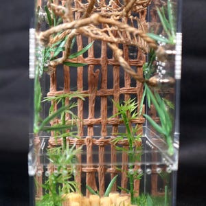 Sling Enclosure- Jumping Spider Cage for Slings Bottom Opening Bamboo Garden